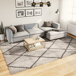 Vloerkleed Pamplona Shaggy Hoogpolig Beige En Antraciet