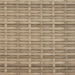 Tuinbank 2-Zits Met Luifel En Voetenbanken Poly Rattan Beige