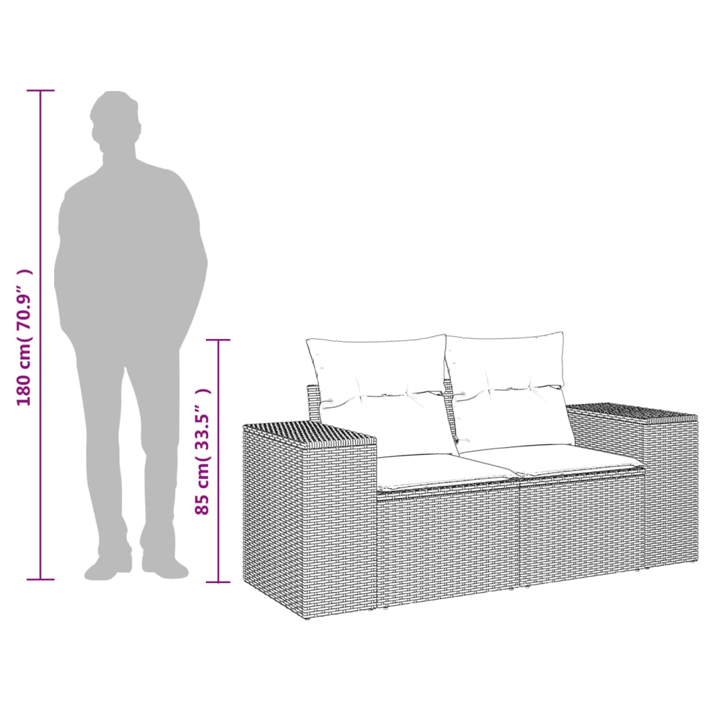 Tuinbank 2-Zits Met Kussens Poly Rattan Zwart