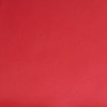 Fauteuil Verstelbaar Kunstleer Rood