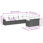 9-Delige Loungeset Met Kussens Poly Rattan Grijs