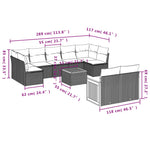 10-Delige Loungeset Met Kussens Poly Rattan Zwart