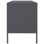 Tv-Meubel 100,5X39X50,5 Cm Staal Kleurig