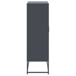 Hoge Kast 68,5X38,5X123,5 Cm Staal Kleurig