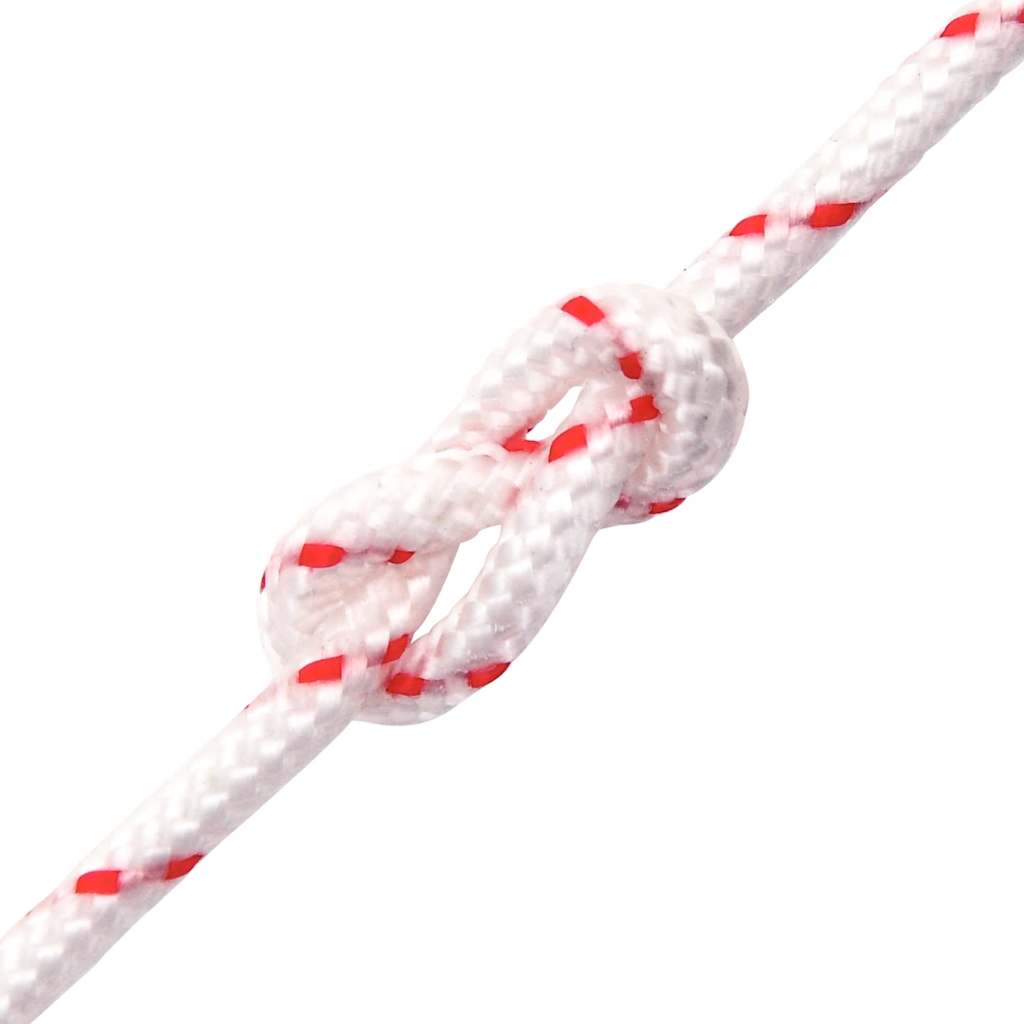 Trekkoord Startkoord Wit En Rood Ø 10 M Nylon